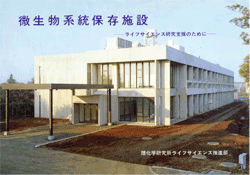 昭和55（1980）年に理化学研究所和光地区に完成した微生物系統保存施設。平成24（2012）年に筑波地区へ移転するまで、ここで活動していました。