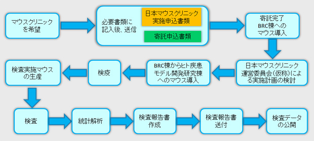 (図解)検査依頼から表現型解析結果報告までの流れ