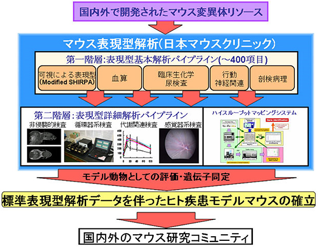 (図解)概要