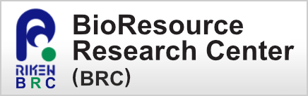 RIKEN Bioresource Research Center(BRC)
