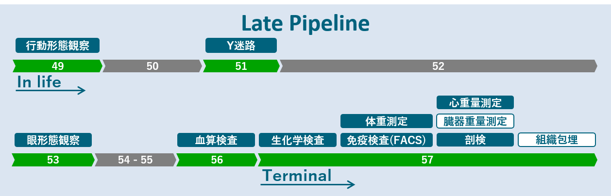pipeline_03