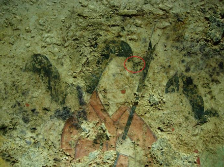 図 国宝高松塚古墳壁画（西壁女子群像）の上に発生した暗色の微生物の斑点